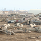 Illustration for article titled These Abandoned Tanks Are Rusting Mementoes of the Wars of the Past